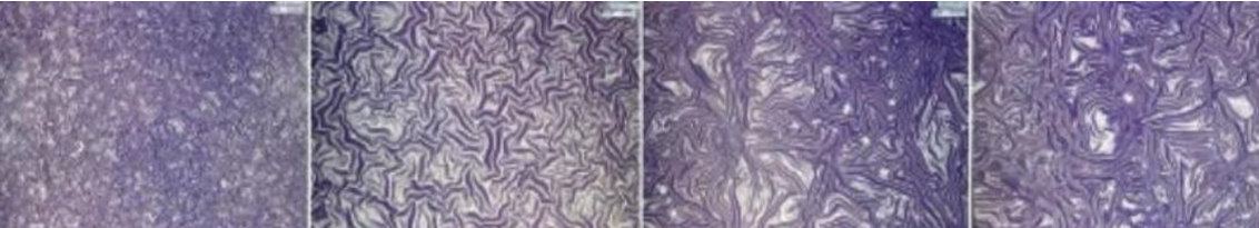 �w�Ї�Ϳ��Ĥ